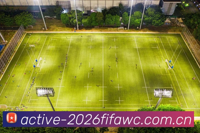 FIFA官方认证